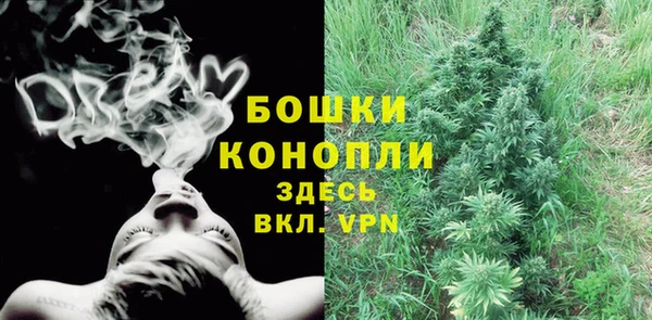 ПСИЛОЦИБИНОВЫЕ ГРИБЫ Зерноград