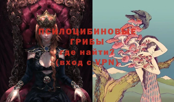 ПСИЛОЦИБИНОВЫЕ ГРИБЫ Зерноград