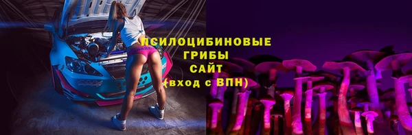 ПСИЛОЦИБИНОВЫЕ ГРИБЫ Зерноград