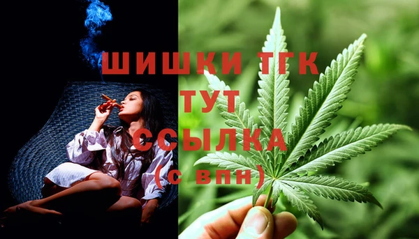 ГАЛЛЮЦИНОГЕННЫЕ ГРИБЫ Зеленодольск